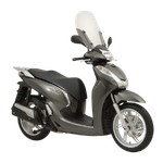 SH 300