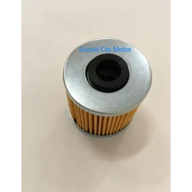 Filtro De Leo Genuino Kymco Downtown 300 E People 300