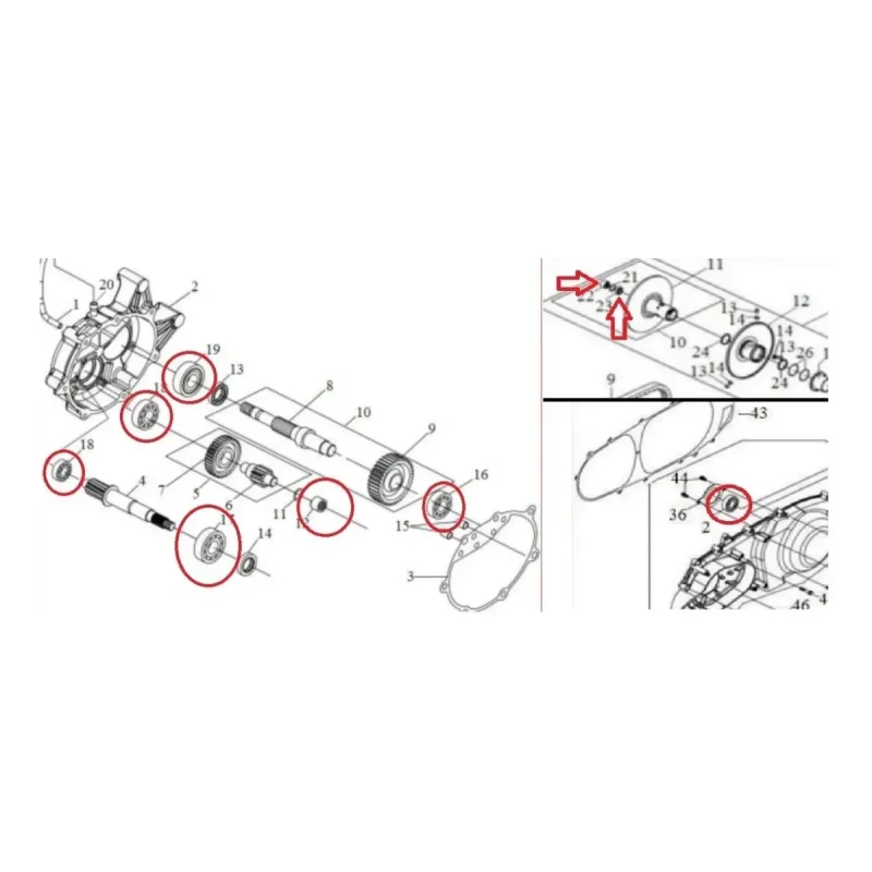 Kit Rolamentos Cambio Cvt E Transmissao Dafra Citycom 300i